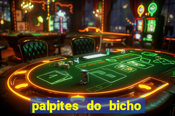 palpites do bicho no celular